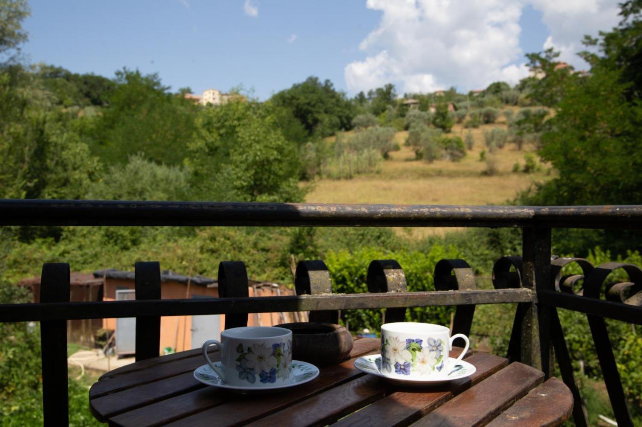 B&B Villa Il Noce Picinisco Luaran gambar